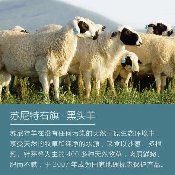 1584154314173095.jpg 微信图片_20200314105002.jpg